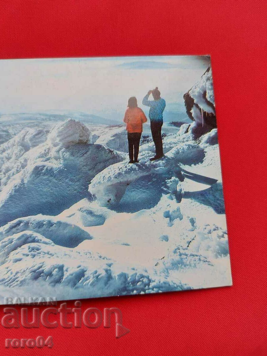 Аукцион ВИТОША Аукцион ВИТОША