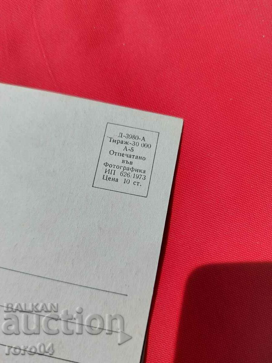 SUNNY BEACH - BAR frigate - 5 SUNNY BEACH - BAR frigate - 5