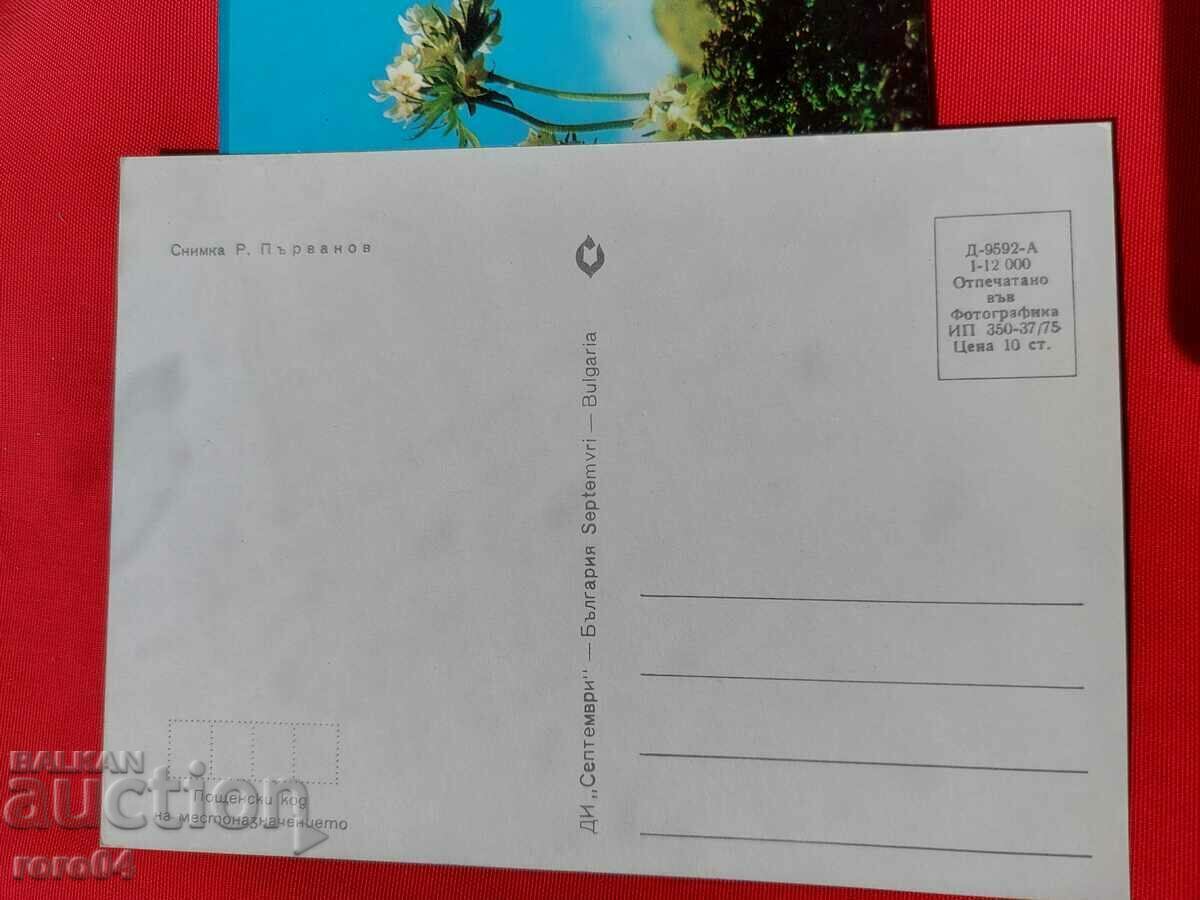 Delivery of FLOWER Delivery of FLOWER