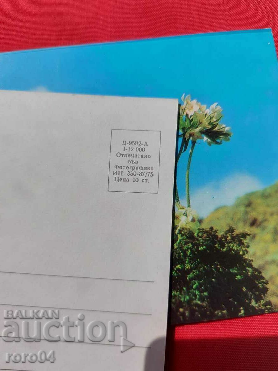 FLOWER - 5 FLOWER - 5