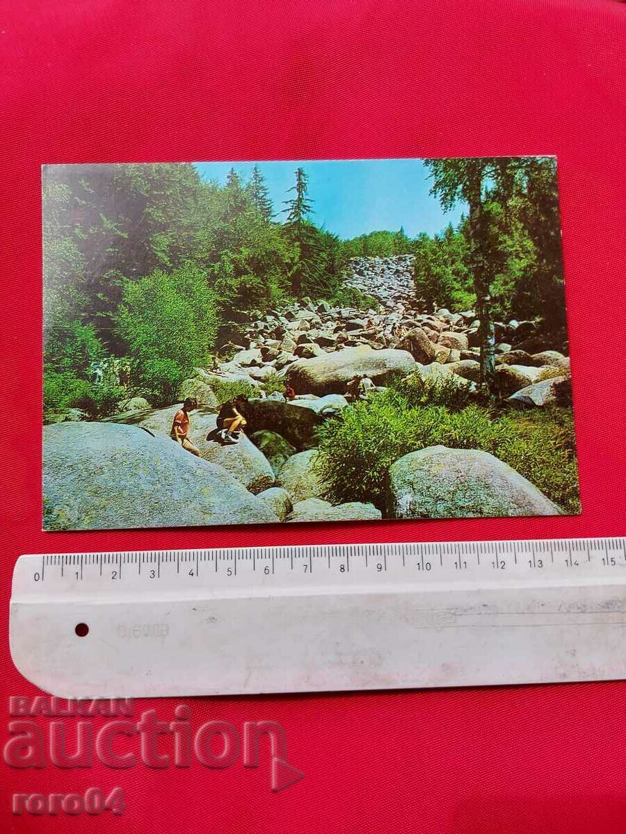 VITOSHA with price 1.11 BGN | € 0.57 VITOSHA with price 1.11 BGN | € 0.57