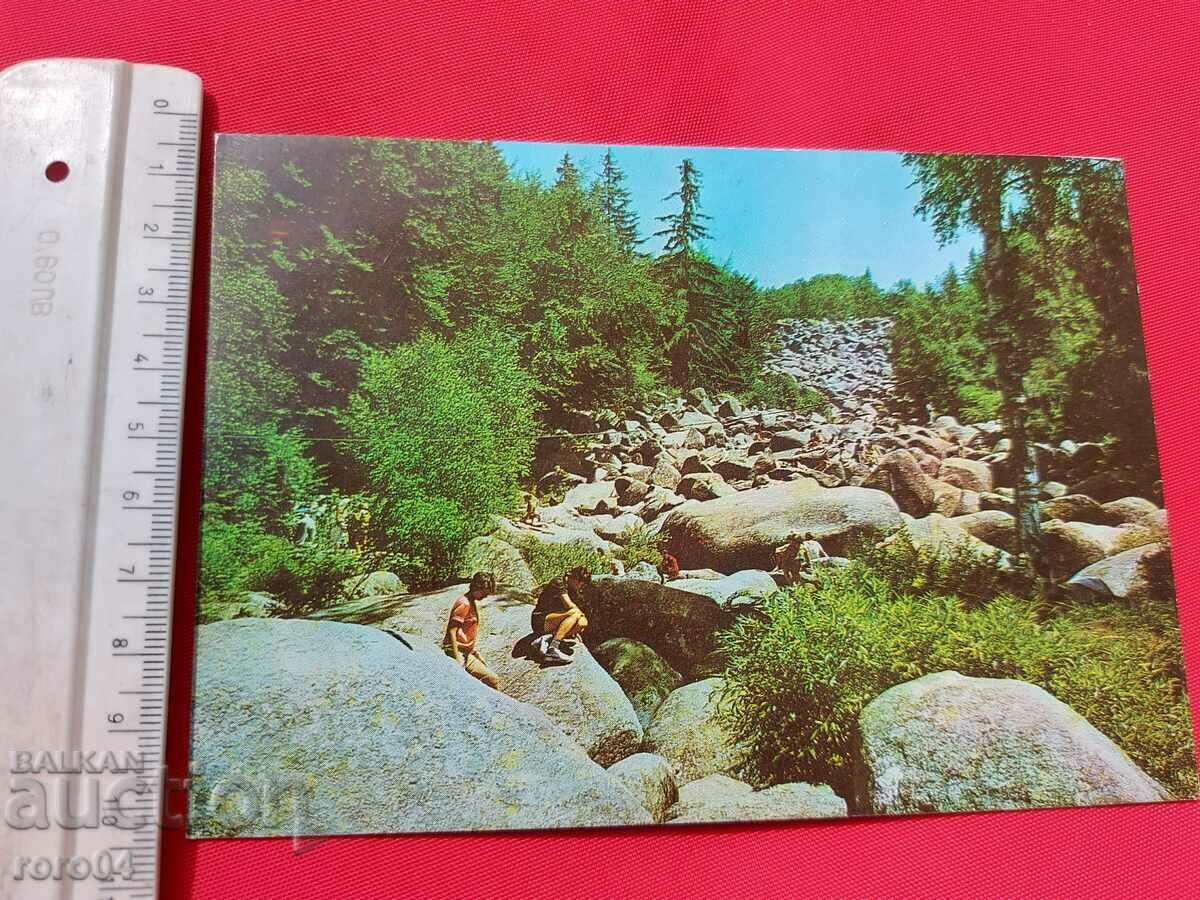 Auction VITOSHA Auction VITOSHA