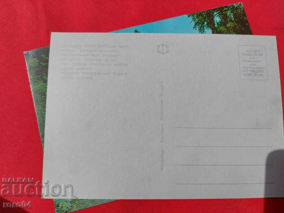 Delivery of VITOSHA Delivery of VITOSHA