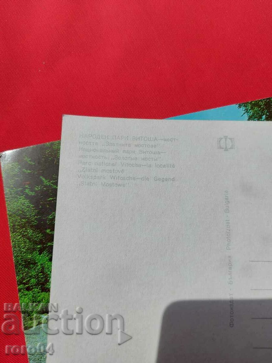 VITOSHA - 5 VITOSHA - 5