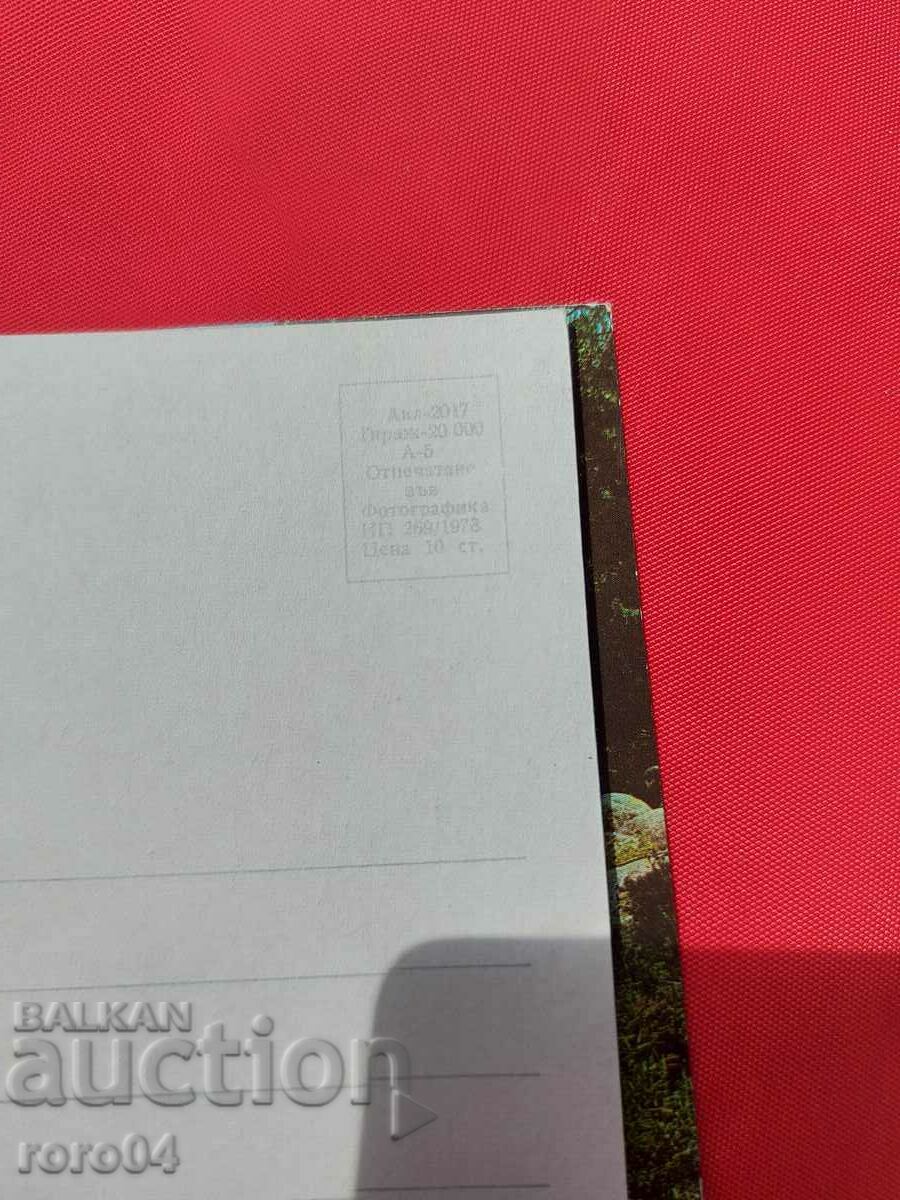 VITOSHA - 6 VITOSHA - 6