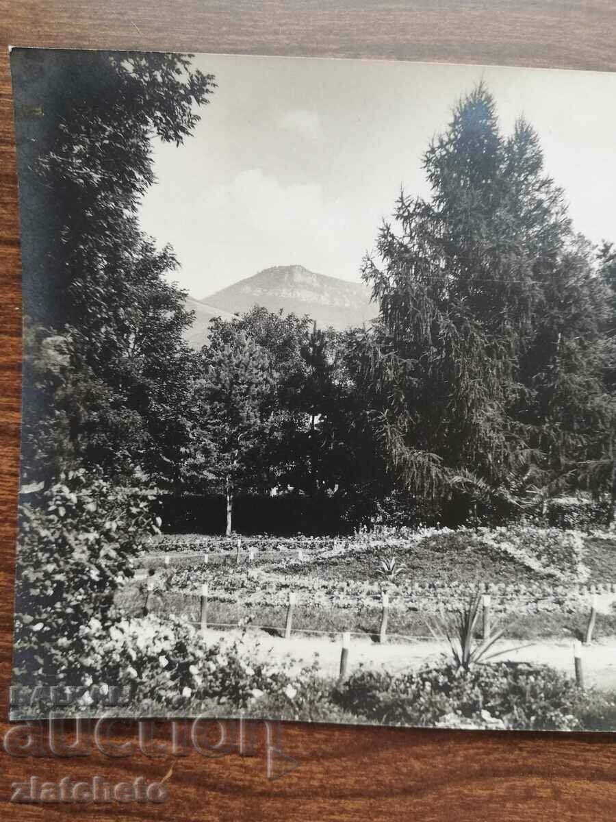 Καρτ ποστάλ Βασίλειο της Βουλγαρίας - Varshets με τιμή 12.00 BGN | € 6.14 Καρτ ποστάλ Βασίλειο της Βουλγαρίας - Varshets με τιμή 12.00 BGN | € 6.14