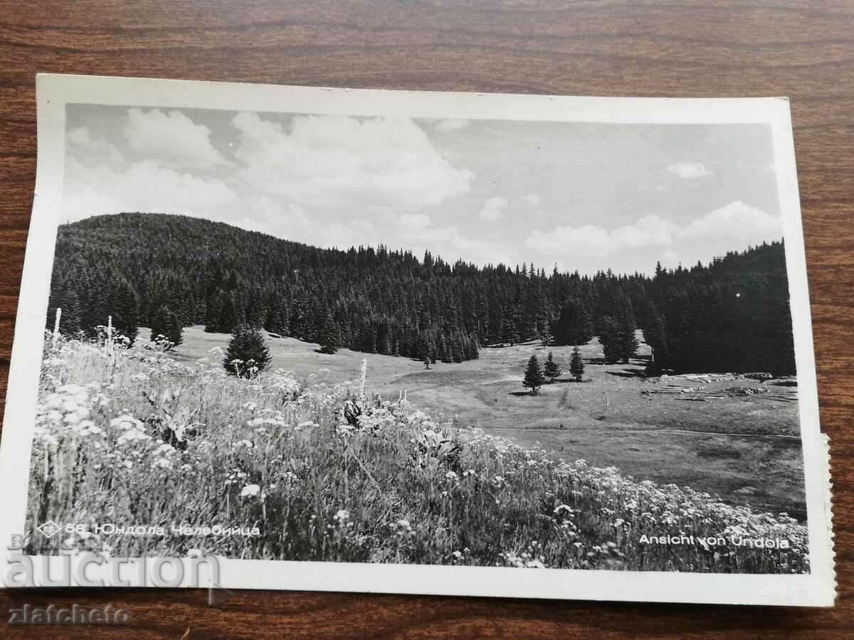 Postcard Kingdom of Bulgaria - Rila Yundola with price 30.00 BGN | € 15.34 Postcard Kingdom of Bulgaria - Rila Yundola with price 30.00 BGN | € 15.34
