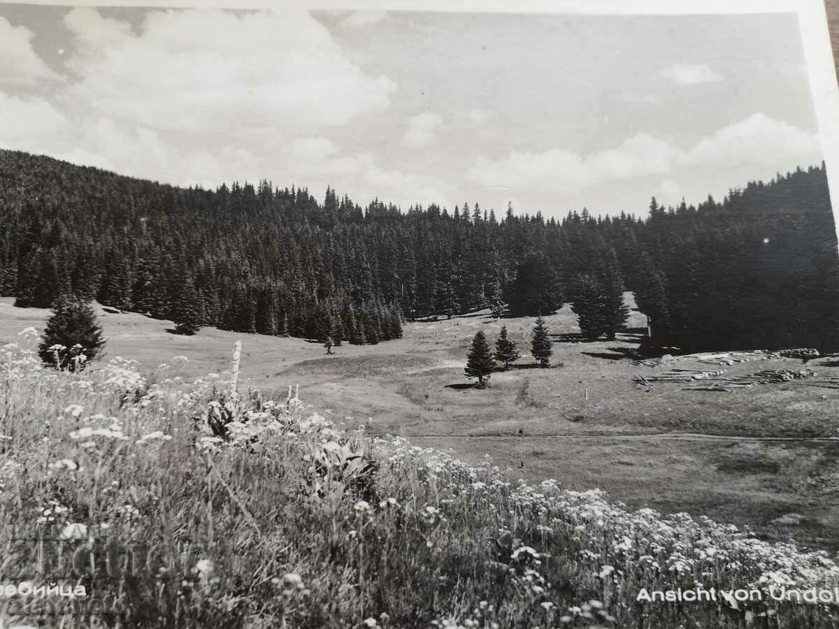 Auction Postcard Kingdom of Bulgaria - Rila Yundola Auction Postcard Kingdom of Bulgaria - Rila Yundola
