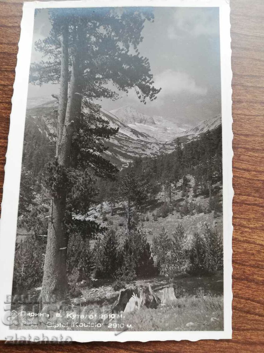 Δημοπρασία Καρτ ποστάλ Βασίλειο της Βουλγαρίας - Πιρίν