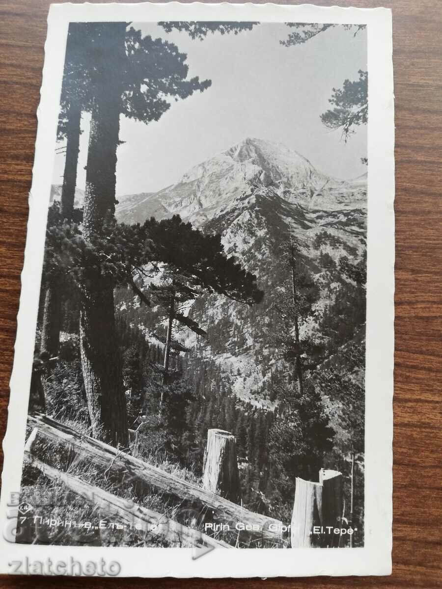Postcard Kingdom of Bulgaria - Pirin with price 12.00 BGN | € 6.14 Postcard Kingdom of Bulgaria - Pirin with price 12.00 BGN | € 6.14