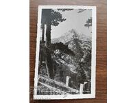 Postcard Kingdom of Bulgaria - Pirin