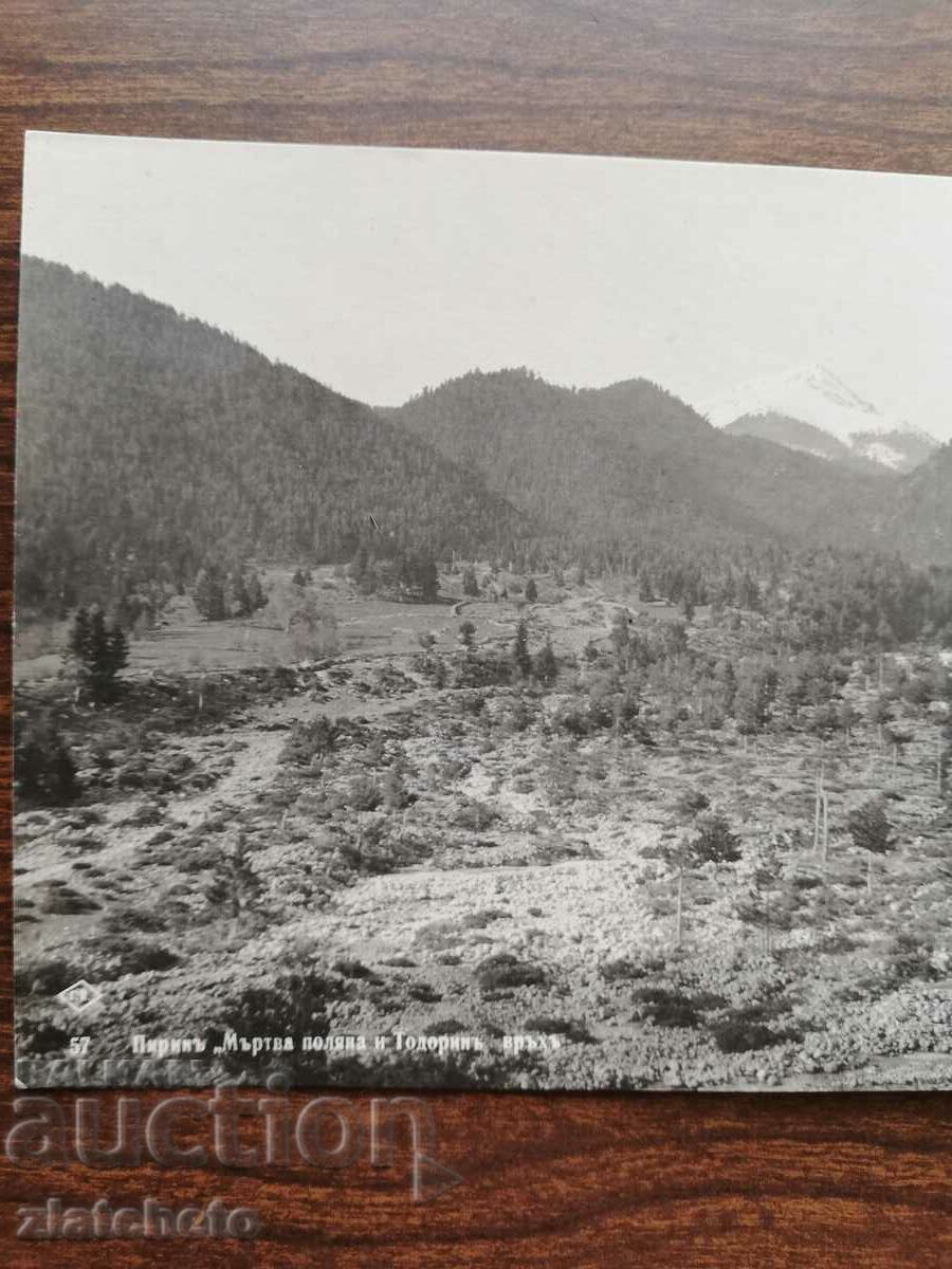 Auction  Postcard Kingdom of Bulgaria - Pirin