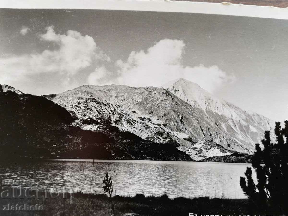 Auction Postcard Kingdom of Bulgaria - Pirin Auction Postcard Kingdom of Bulgaria - Pirin