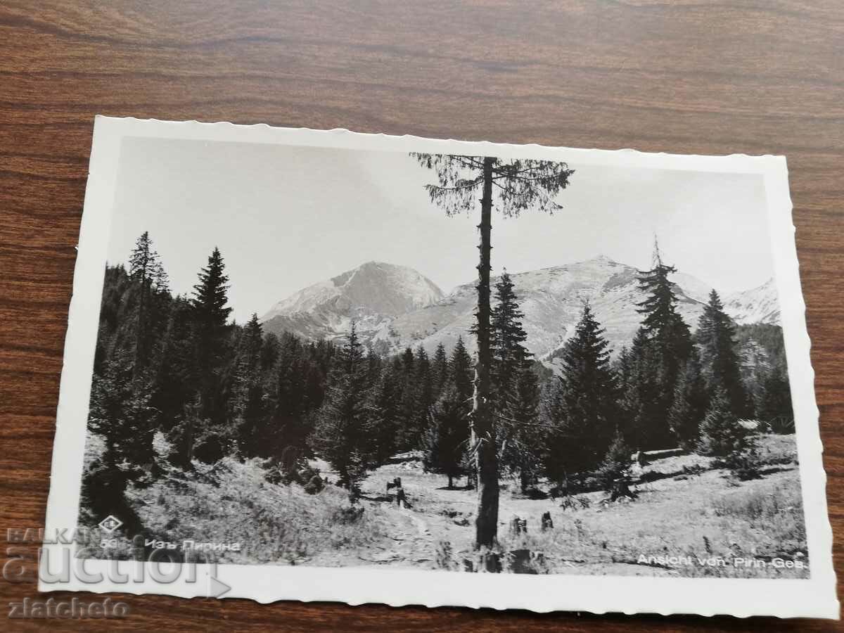 Καρτ ποστάλ Βασίλειο της Βουλγαρίας - Πιρίν με τιμή 12.00 BGN | € 6.14 Καρτ ποστάλ Βασίλειο της Βουλγαρίας - Πιρίν με τιμή 12.00 BGN | € 6.14