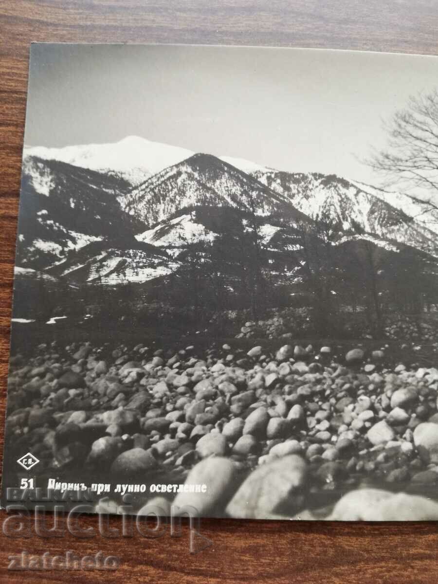 Δημοπρασία Καρτ ποστάλ Βασίλειο της Βουλγαρίας - Πιρίν