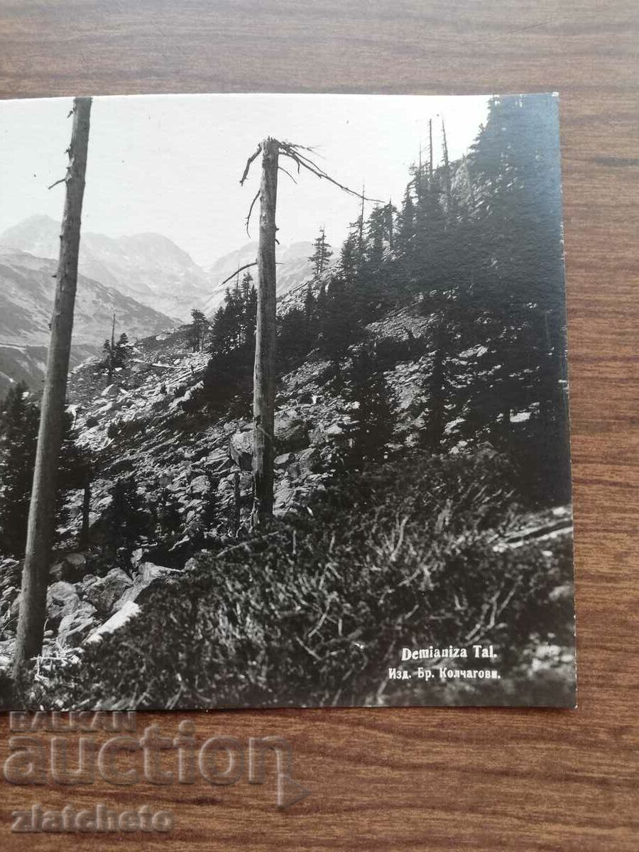 Auction  Postcard Kingdom of Bulgaria - Pirin