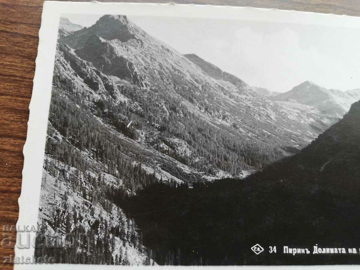 Δημοπρασία Καρτ ποστάλ Βασίλειο της Βουλγαρίας - Πιρίν