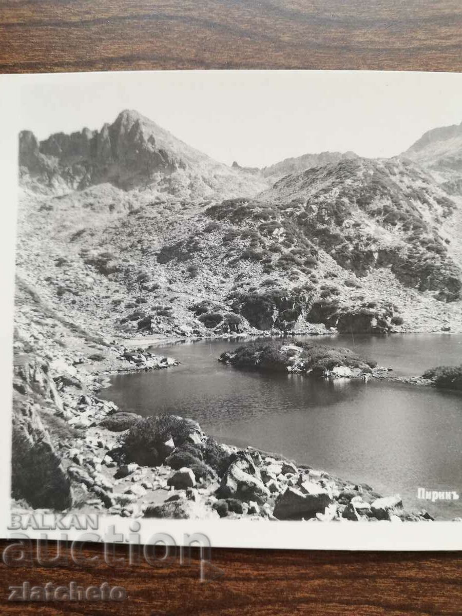 Δημοπρασία Καρτ ποστάλ Βασίλειο της Βουλγαρίας - Πιρίν Δημοπρασία Καρτ ποστάλ Βασίλειο της Βουλγαρίας - Πιρίν