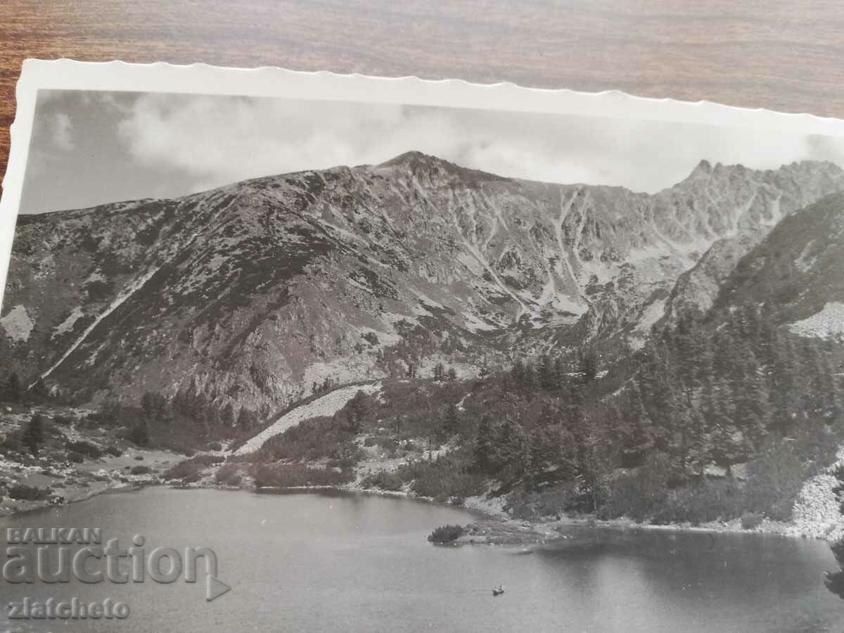 Auction  Postcard Kingdom of Bulgaria - Pirin