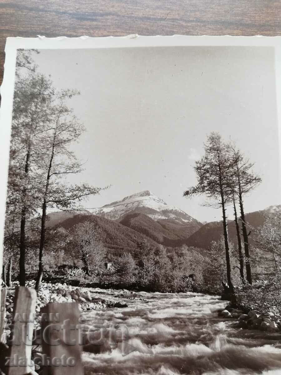 Δημοπρασία Καρτ ποστάλ Βασίλειο της Βουλγαρίας - Πιρίν Δημοπρασία Καρτ ποστάλ Βασίλειο της Βουλγαρίας - Πιρίν