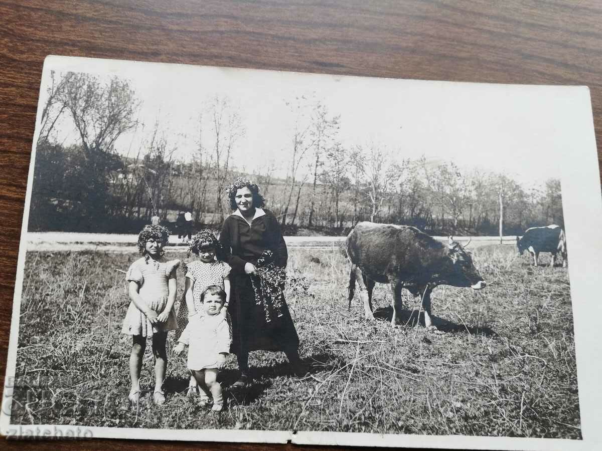 Old photo - with price 5.00 BGN | € 2.56 Old photo - with price 5.00 BGN | € 2.56