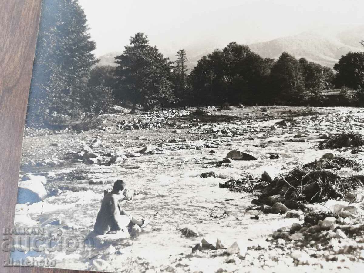 Auction  Old photo -