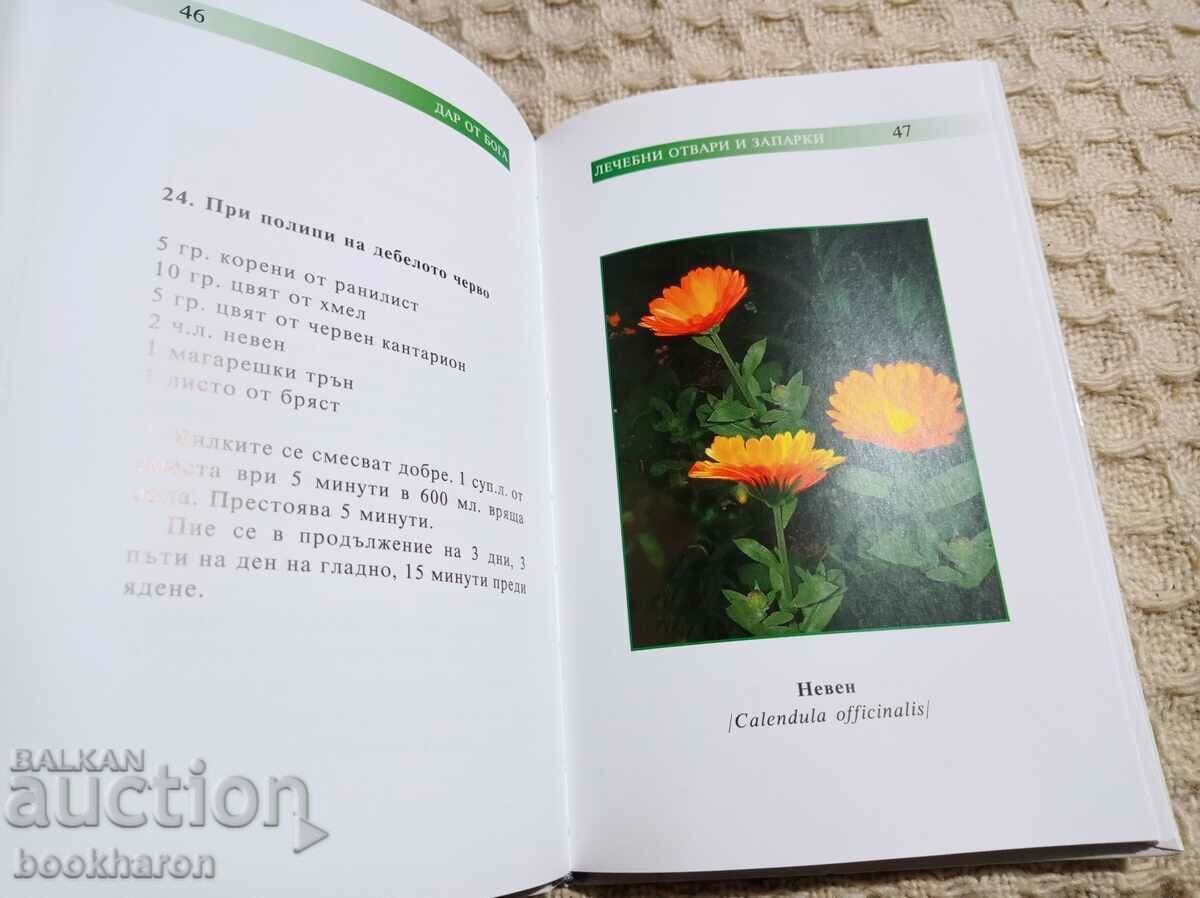 Lyuba Popova: A gift from God with price € 6.50 | 12.71 BGN