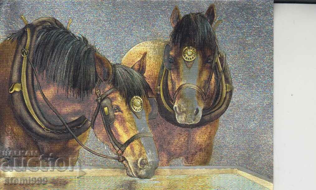 Postcard Horses
