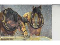 Postcard Horses