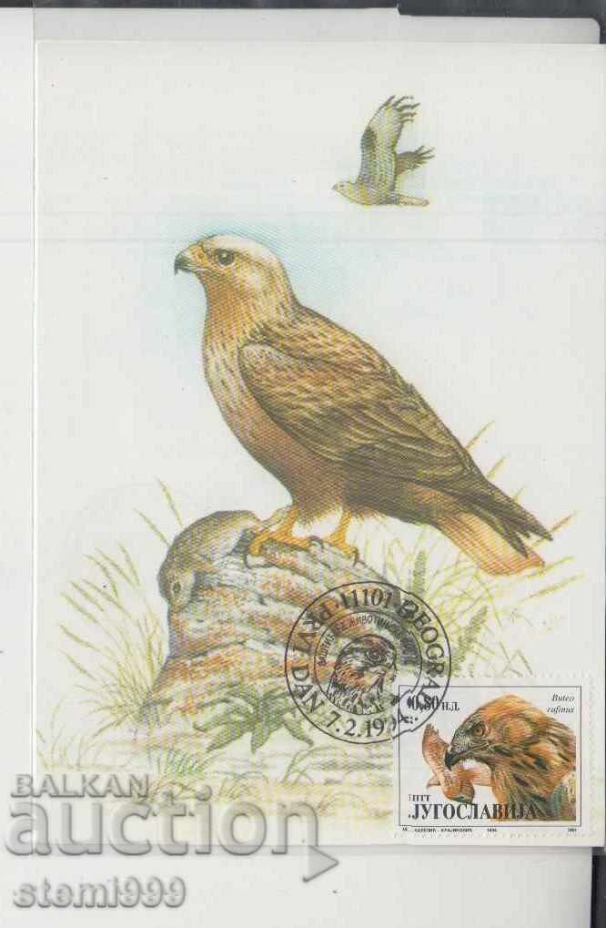 Пощенска картичка Птици