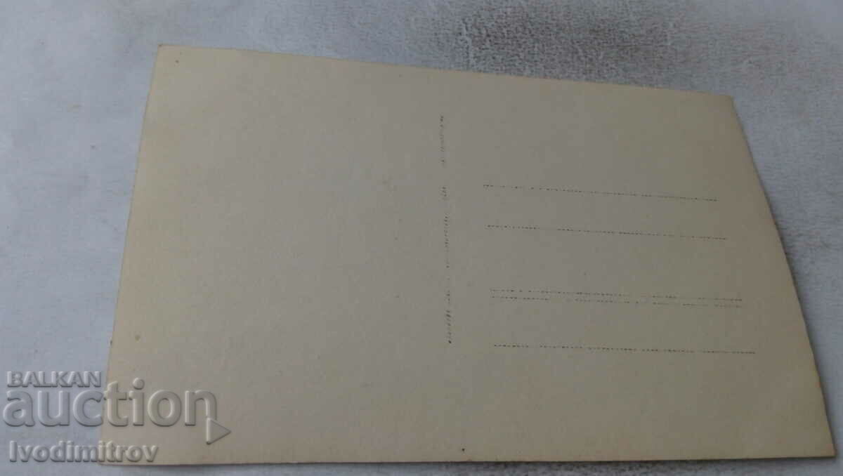 Φωτογραφία Μεγάλη παρέα στις όχθες του Δούναβη με τιμή 2.65 BGN | € 1.35 Φωτογραφία Μεγάλη παρέα στις όχθες του Δούναβη με τιμή 2.65 BGN | € 1.35