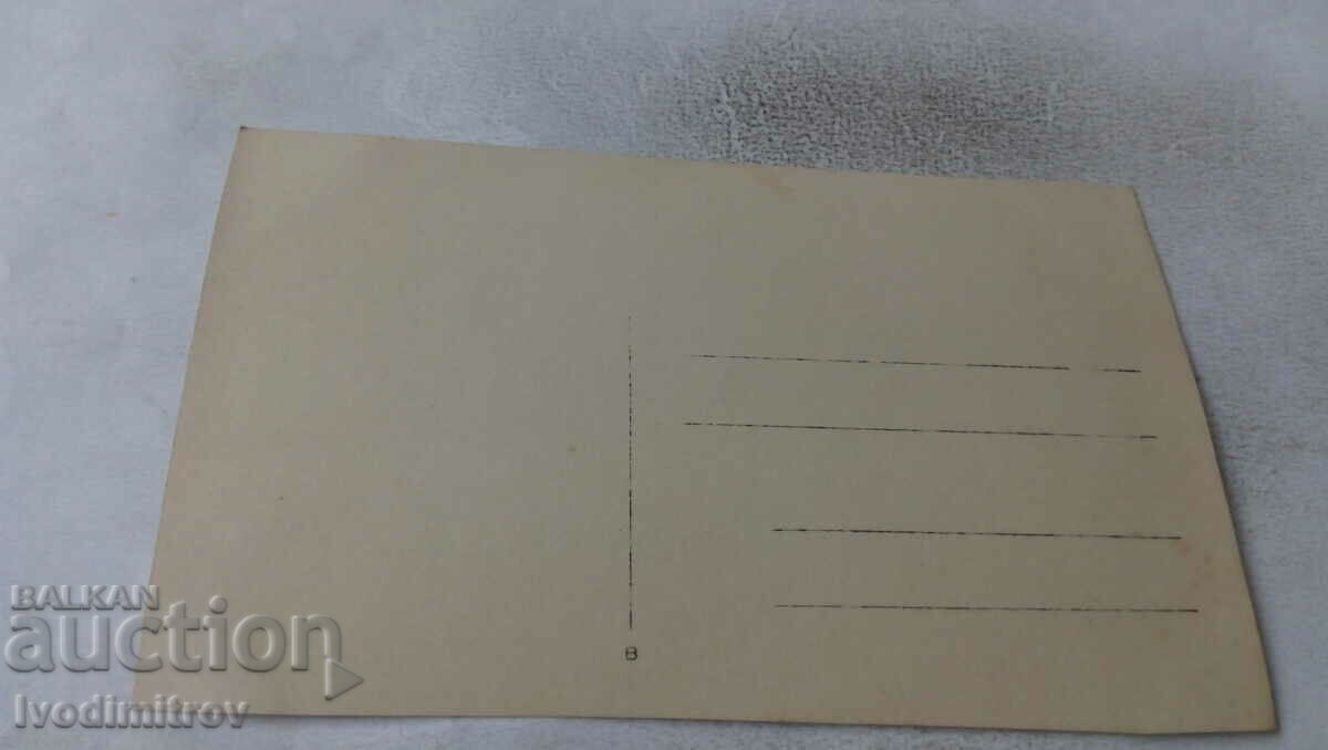 Photo Large company on a trip with price 1.75 BGN | € 0.89 Photo Large company on a trip with price 1.75 BGN | € 0.89