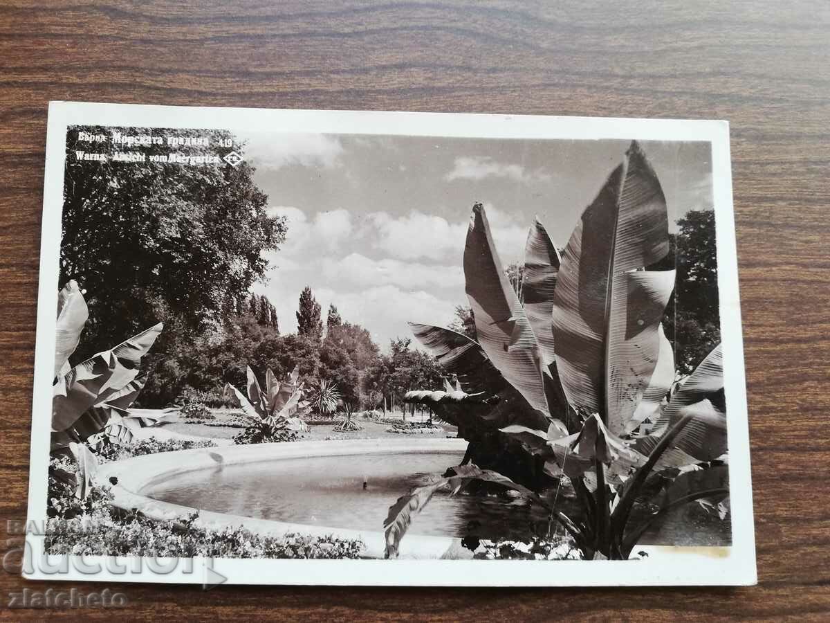 Postcard Kingdom of Bulgaria - Varna with price 10.00 BGN | € 5.11 Postcard Kingdom of Bulgaria - Varna with price 10.00 BGN | € 5.11