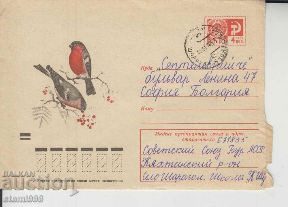 Birdwatching Bird Envelope