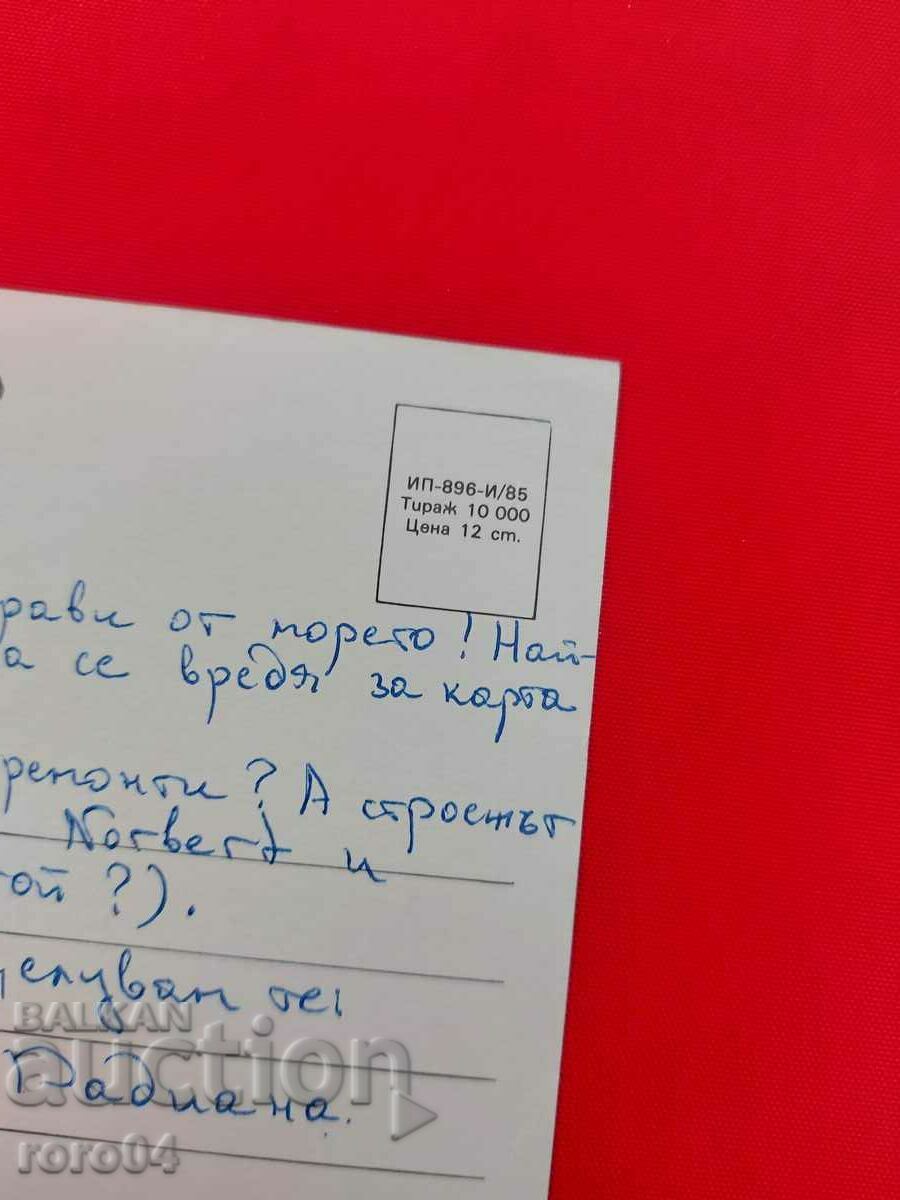 ALBENA - 6 ALBENA - 6