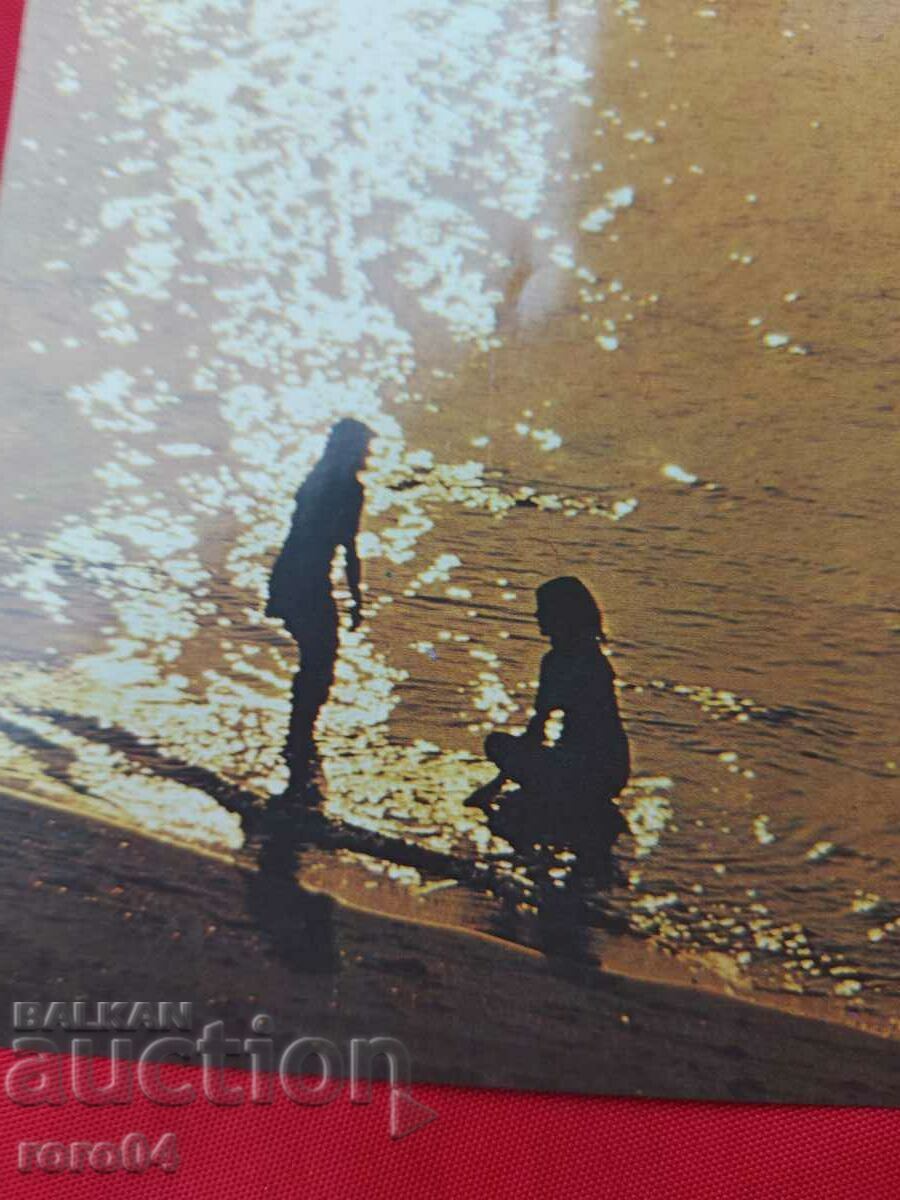 Auction  BLACK SEA BEACH