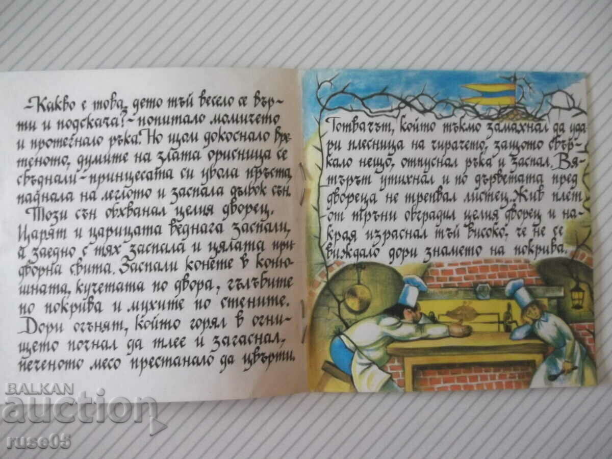 Παράδοση Βιβλίο "Ωραία Κοιμωμένη - Αδέρφια Γκριμ" - 20 σελ. Παράδοση Βιβλίο "Ωραία Κοιμωμένη - Αδέρφια Γκριμ" - 20 σελ.