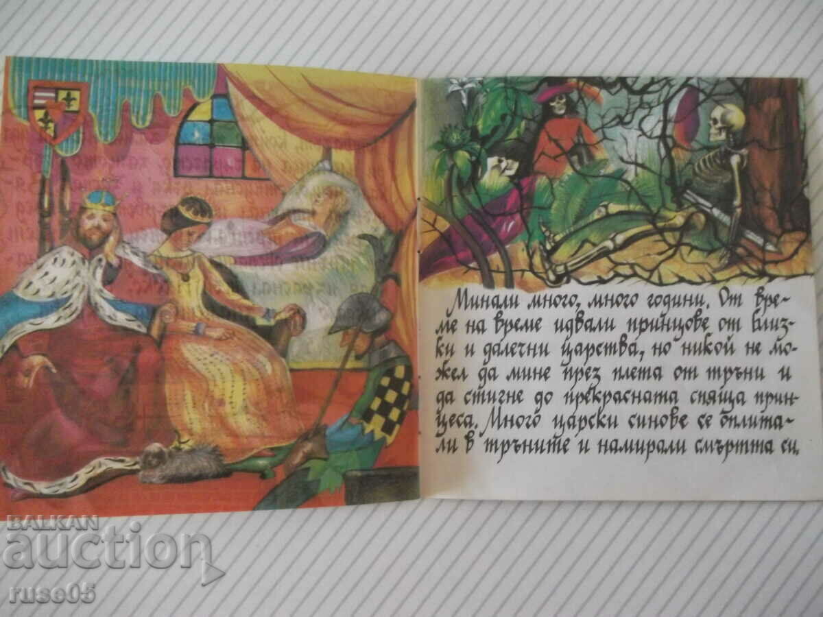 Βιβλίο "Ωραία Κοιμωμένη - Αδέρφια Γκριμ" - 20 σελ. - 5 Βιβλίο "Ωραία Κοιμωμένη - Αδέρφια Γκριμ" - 20 σελ. - 5