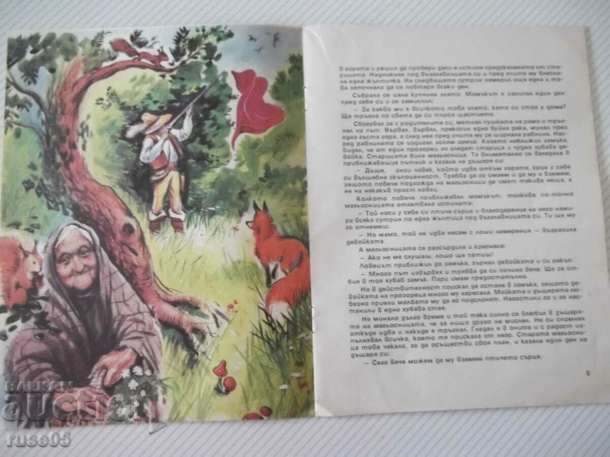 Delivery of Book "The Magic Cloak - Brothers Grimm" - 12 p.