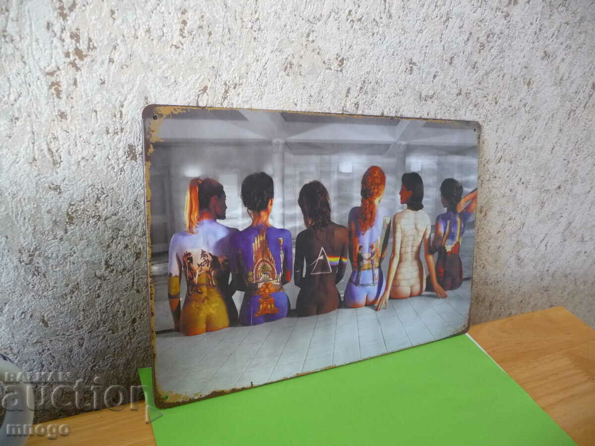 Metal plate Pin Floyd Pink Floyd rock girls albums with price 22.00 BGN | € 11.25