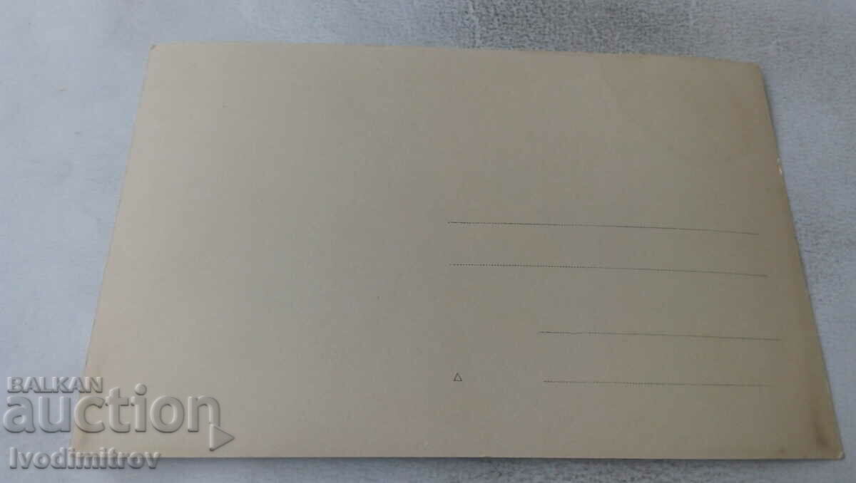 Снимка Две млади момичета на дървено мостче с цена 2.35 лв. | € 1.20 Снимка Две млади момичета на дървено мостче с цена 2.35 лв. | € 1.20