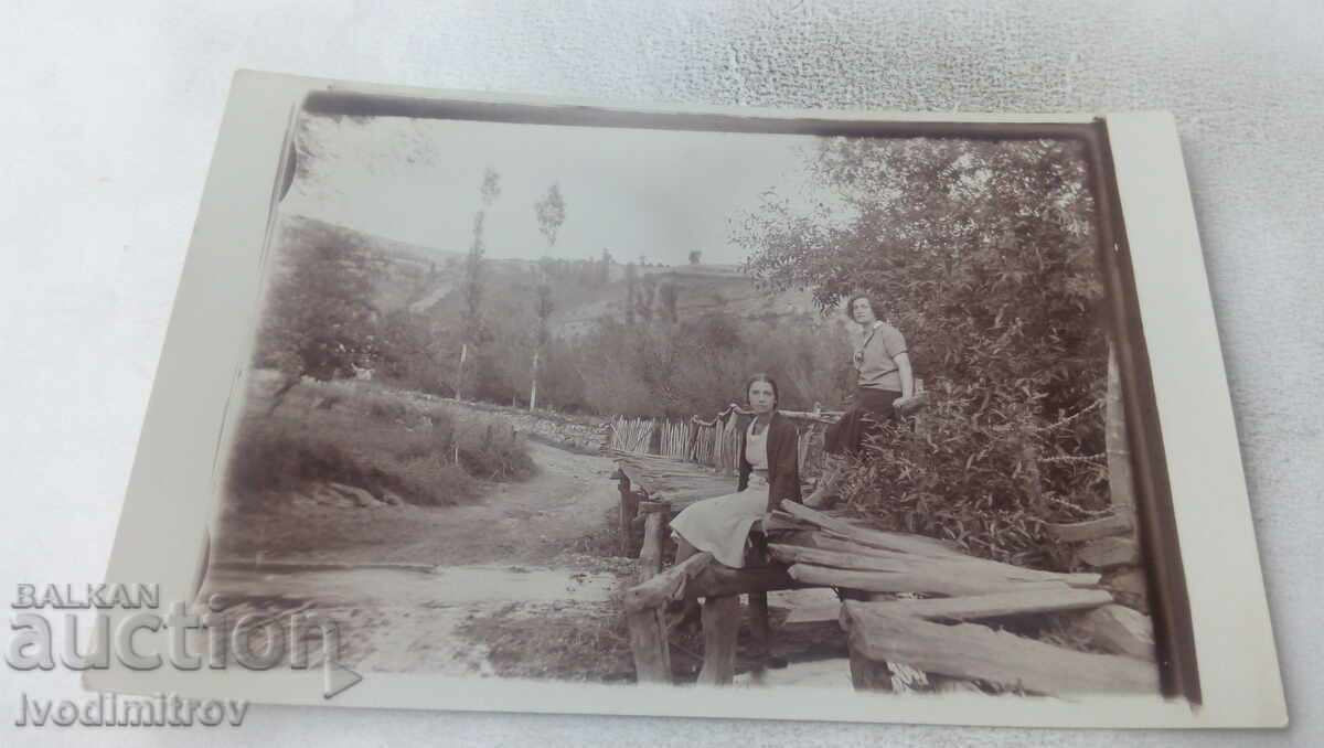 Fotografie Două fete tinere pe un pod de lemn