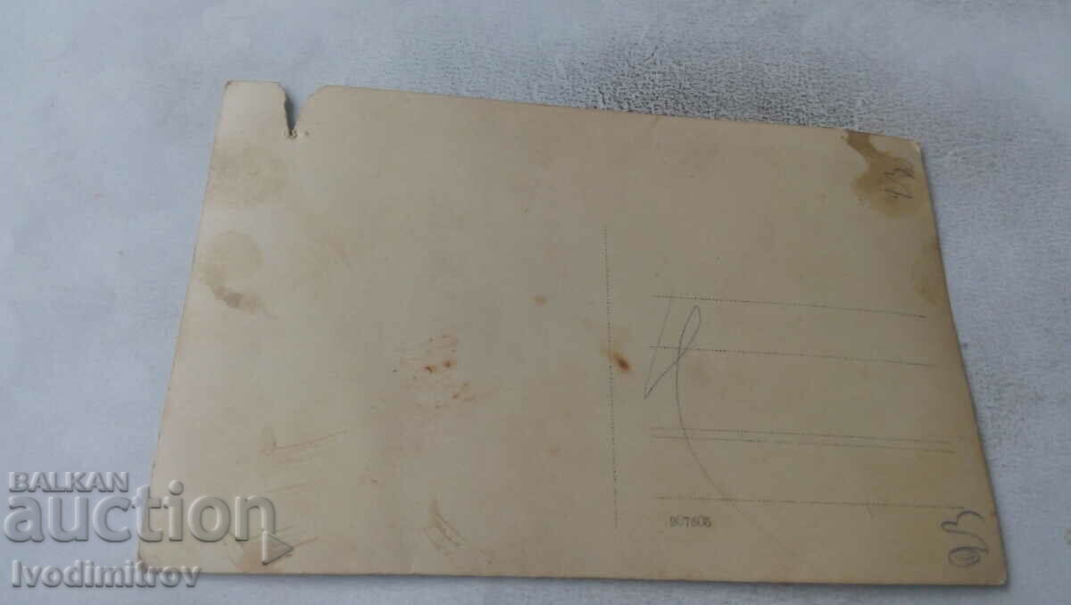 Photo Two young girls on the grass with price 1.65 BGN | € 0.84 Photo Two young girls on the grass with price 1.65 BGN | € 0.84