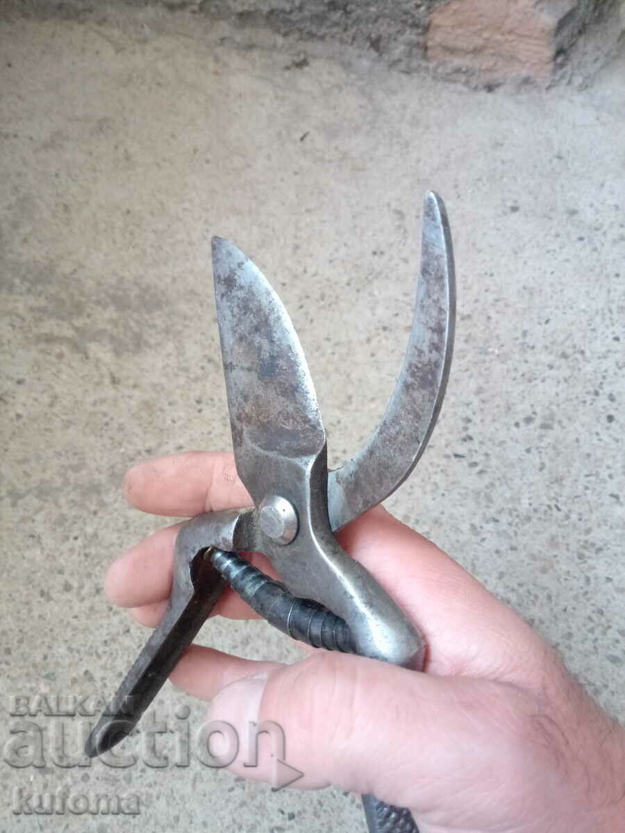 Auction Old viticulture scissors Auction Old viticulture scissors