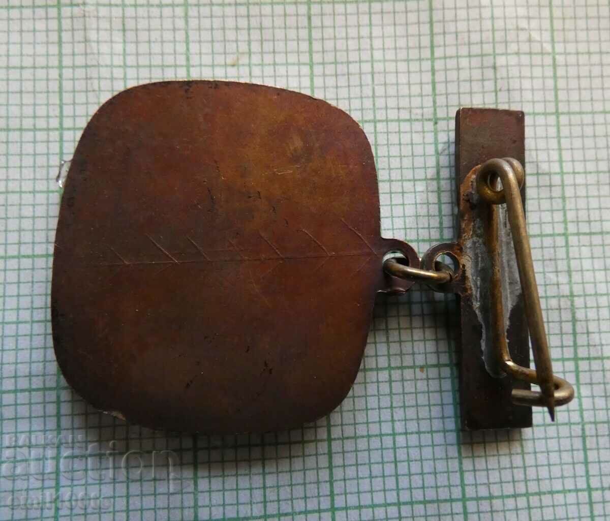 Delivery of Badge - Blood donor Red Cross Hungary