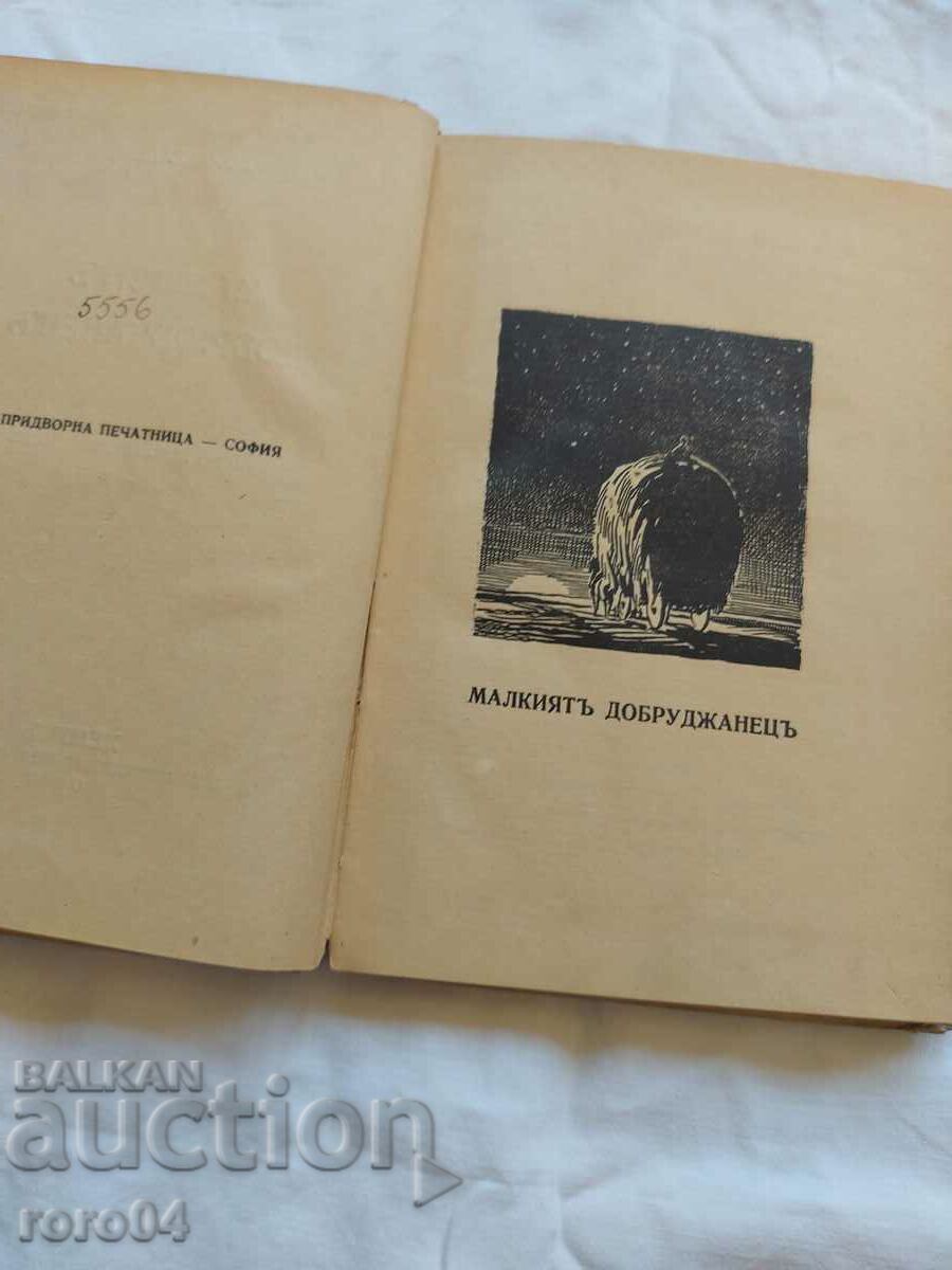 Auction THE SMALL DOBRUCJAN - DORA GABE Auction THE SMALL DOBRUCJAN - DORA GABE