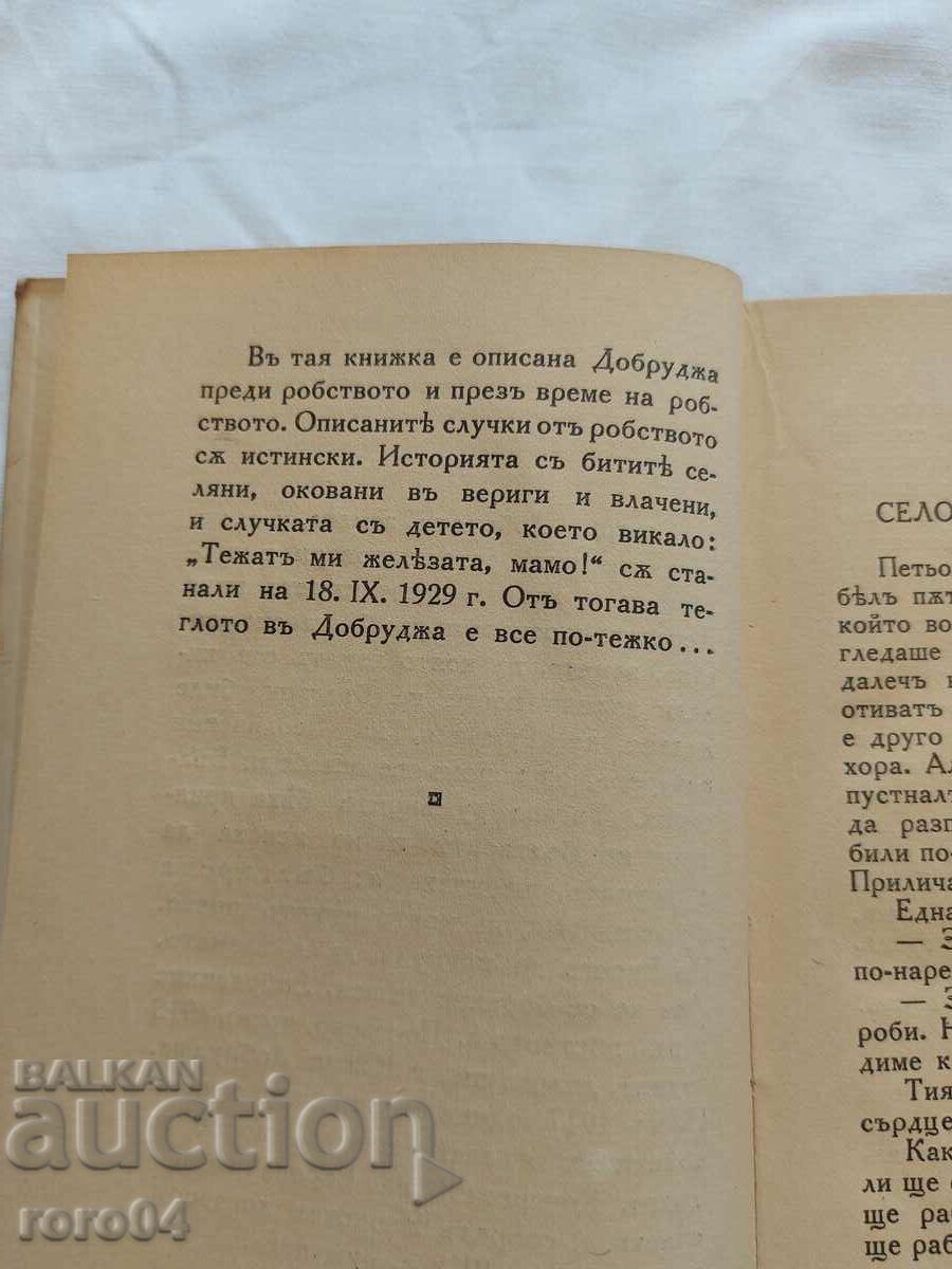 THE SMALL DOBRUCJAN - DORA GABE - 5 THE SMALL DOBRUCJAN - DORA GABE - 5