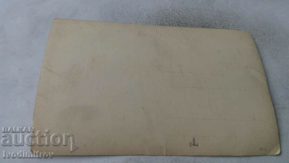 Photo Picnic company on the lawn with price 1.65 BGN | € 0.84 Photo Picnic company on the lawn with price 1.65 BGN | € 0.84