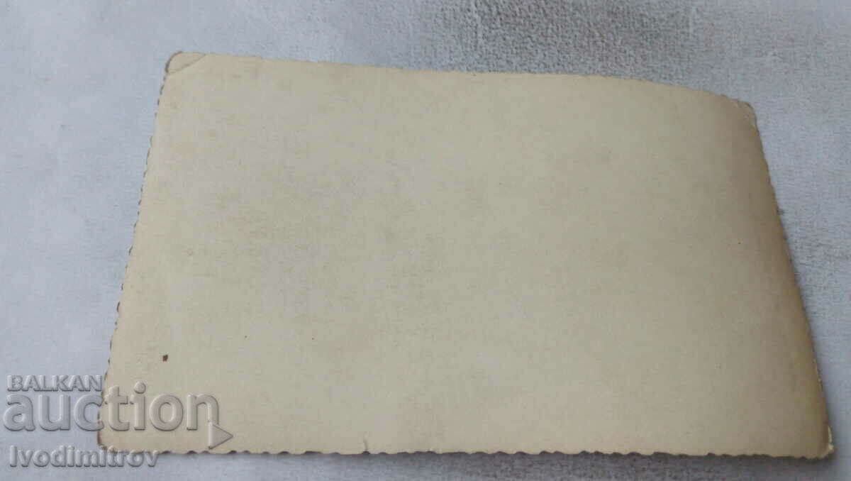 Photo Students on a trip to the mountains with price 1.45 BGN | € 0.74 Photo Students on a trip to the mountains with price 1.45 BGN | € 0.74