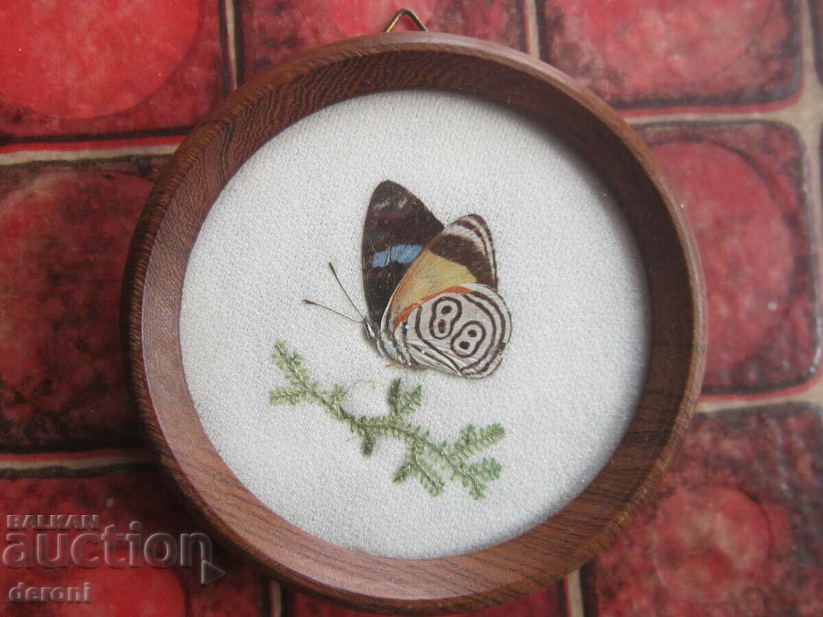 Brazilian Art Painting with price 30.00 BGN | € 15.34